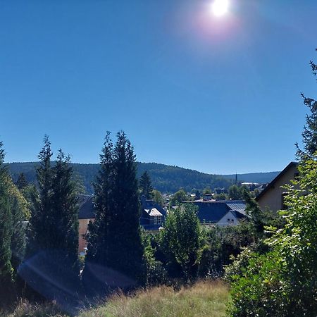 Villa Helvetia Bad Elster Dış mekan fotoğraf