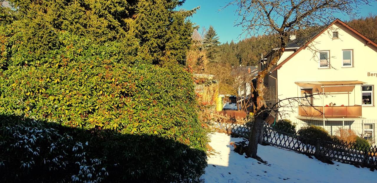 Villa Helvetia Bad Elster Dış mekan fotoğraf