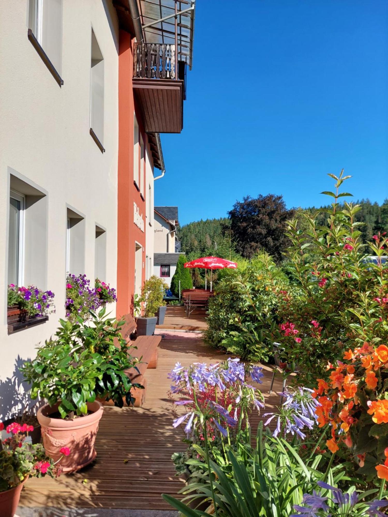 Villa Helvetia Bad Elster Dış mekan fotoğraf
