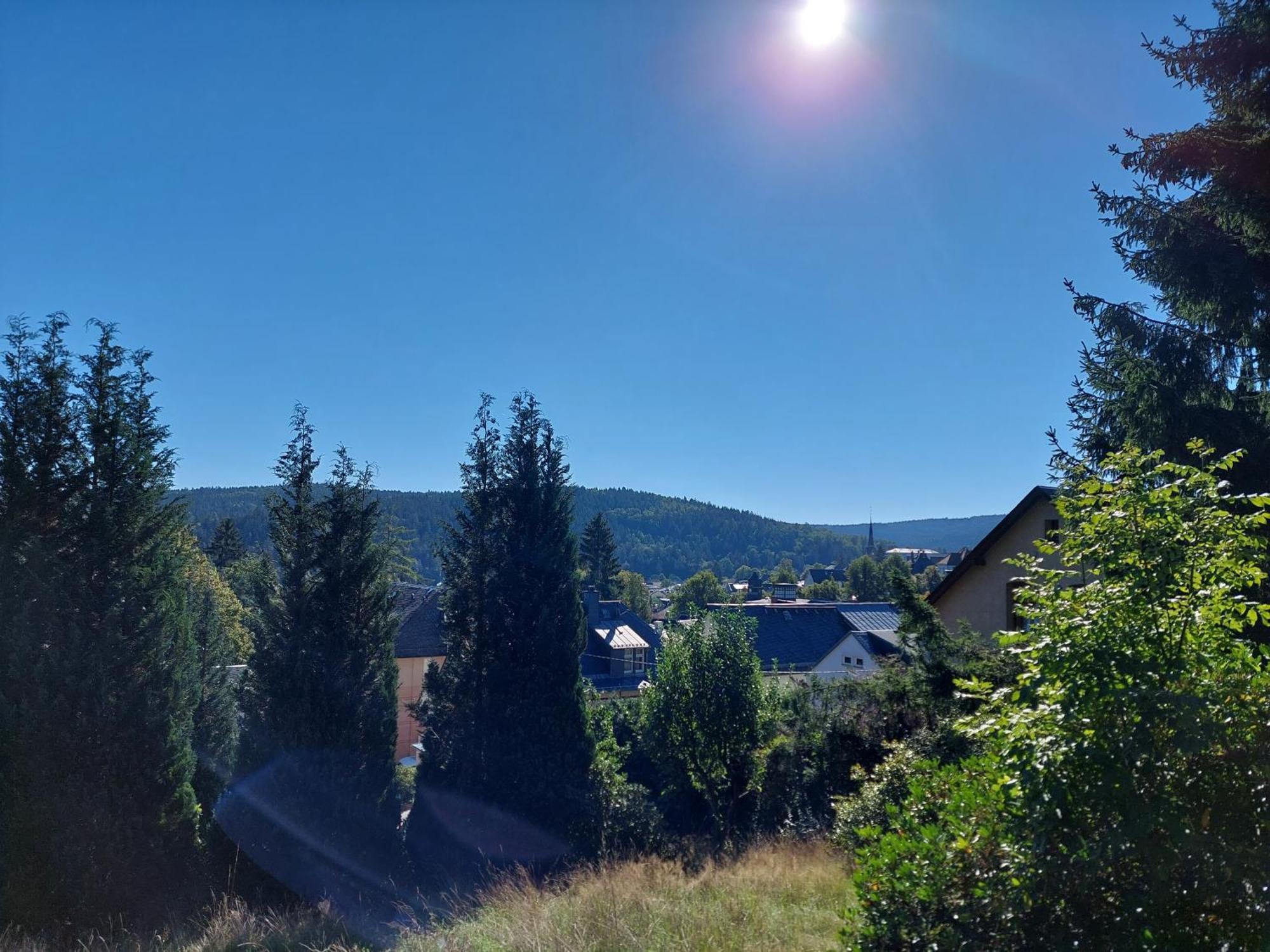 Villa Helvetia Bad Elster Dış mekan fotoğraf