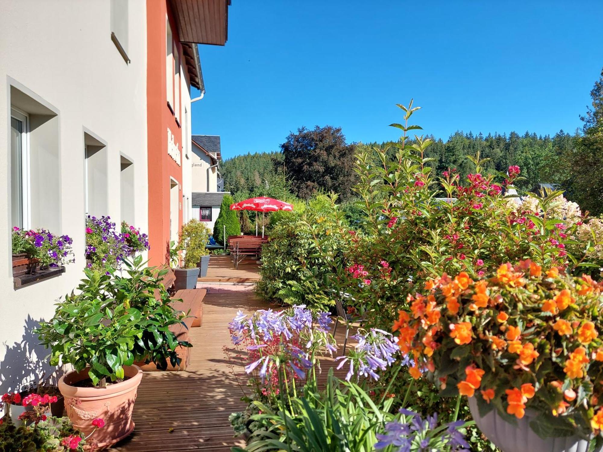 Villa Helvetia Bad Elster Dış mekan fotoğraf