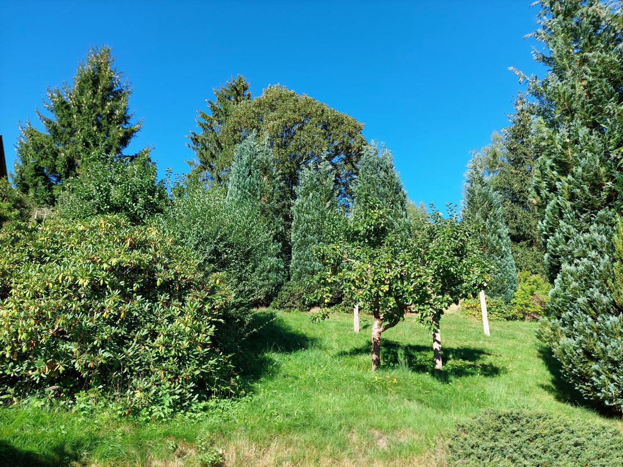Villa Helvetia Bad Elster Dış mekan fotoğraf